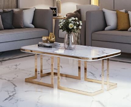 Stylish Round Table MDF Top Metal Table for Living Room | 0129